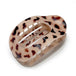Light Leopard